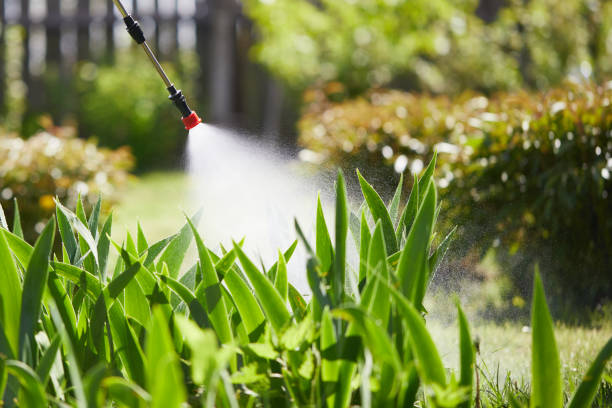 Tamper-Resistant Bait Stations for Rodents in Mendon