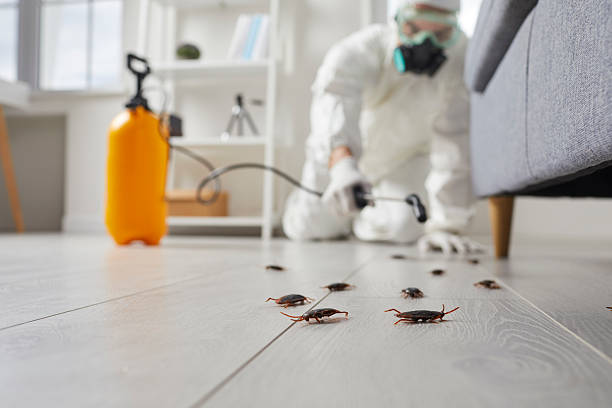 Commercial Rodent Management in Mendon